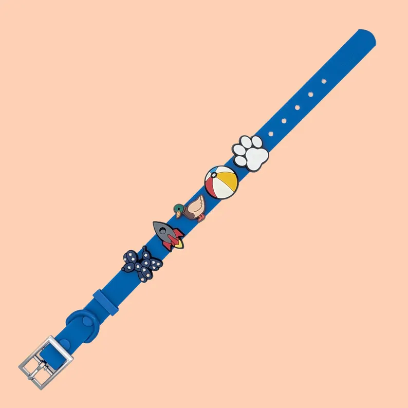 Customizable Dog Collars