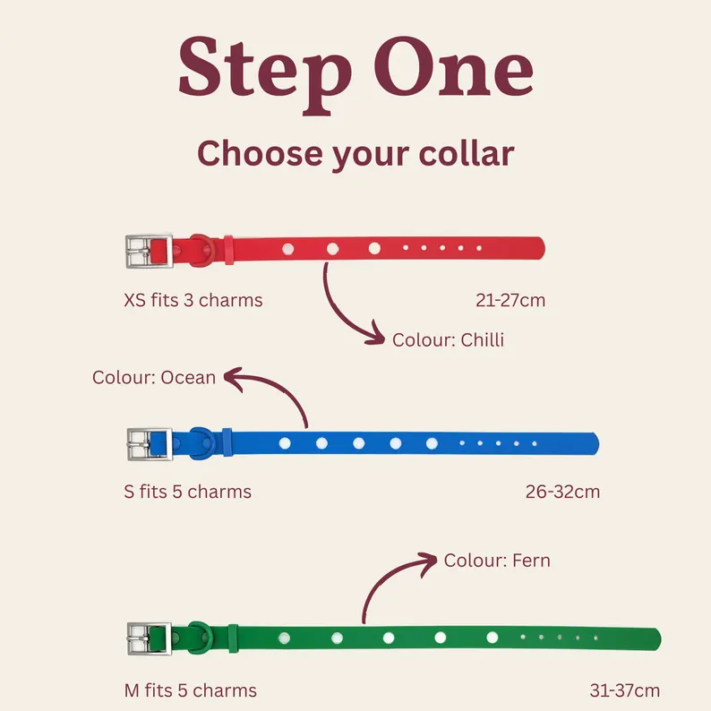 Order